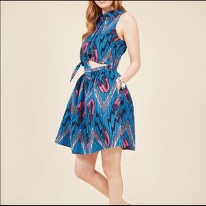 ModCloth a-line magnet print dress